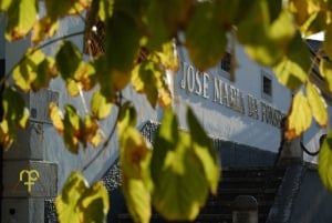 De Lisboa: Tour particular de vinhos com prova de vinhos e queijos