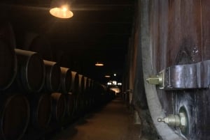De Lisboa: Tour particular de vinhos com prova de vinhos e queijos