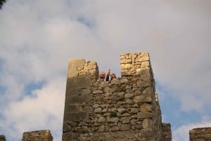 De Lisboa: Tour particular de vinhos com prova de vinhos e queijos