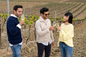 De Lisboa: Viagem de 1 dia a Sintra e ao Palácio da Pena com prova de vinhos