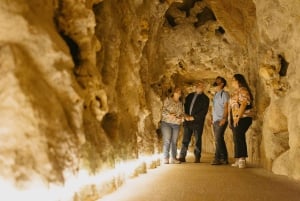 Lissabon: Sintra, Pena-paladset og Quinta da Regaleira-tur