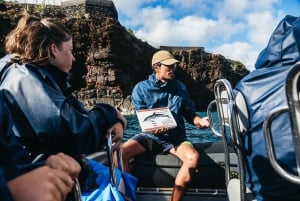 Da Machico: Tour in barca per l'osservazione di balene e delfini a Madeira