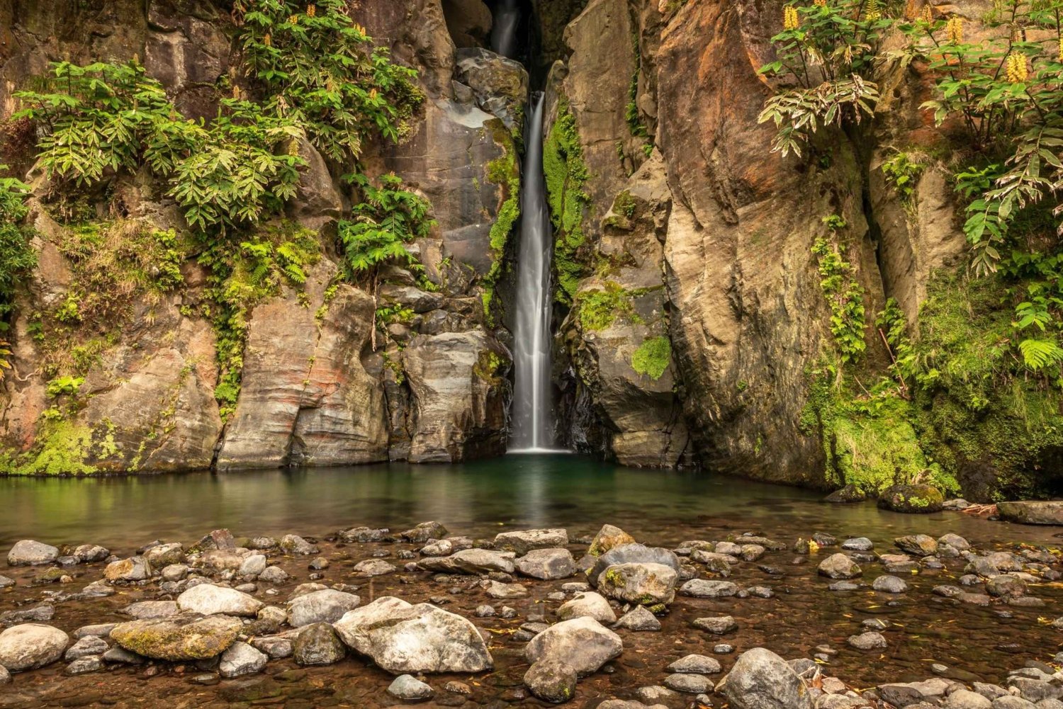 From Ponta Delgada: Guided Walking Tour to Salto do Cabrito