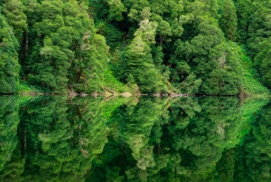 Z Ponta Delgada: Sete Cidades Jeep, Bike, & Kayak Ride