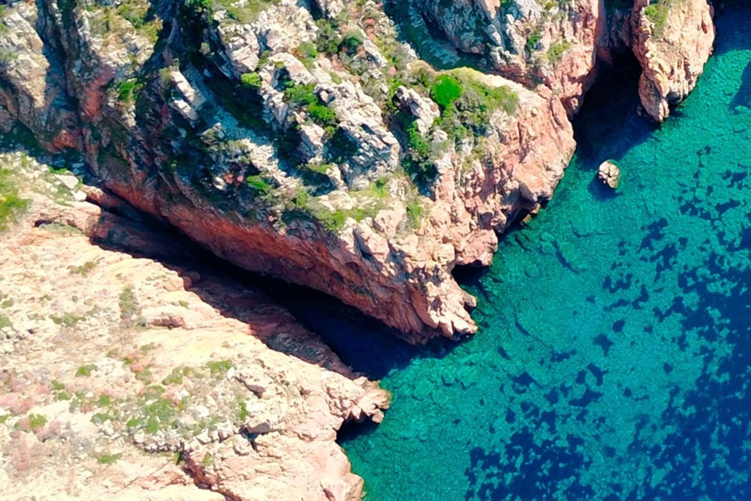 Fra Porticcio: Krydstogt til Scandola-reservatet og landsbyen Porto