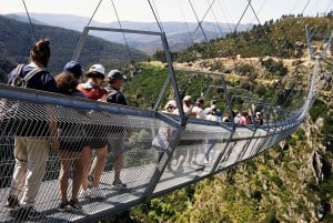 Desde Oporto: Excursión de un día con guía a Arouca 516 y Pasarelas de Paiva