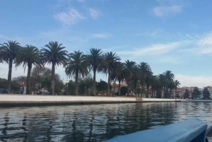 Da Porto: tour di Aveiro e Coimbra con crociera in barca Moliceiro