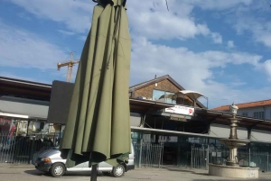 Da Porto: tour di Aveiro e Coimbra con crociera in barca Moliceiro