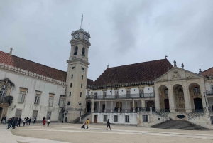 Da Porto: tour di Aveiro e Coimbra con crociera in barca Moliceiro
