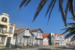 Da Porto: tour di Aveiro e Coimbra con crociera in barca Moliceiro