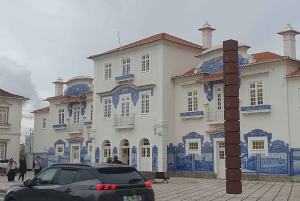 Da Porto: tour di Aveiro e Coimbra con crociera in barca Moliceiro
