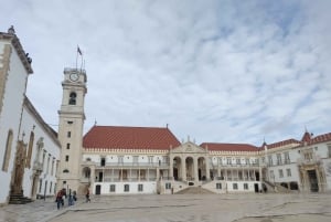 Da Porto: tour di Aveiro e Coimbra con crociera in barca Moliceiro