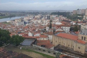 Da Porto: tour di Aveiro e Coimbra con crociera in barca Moliceiro