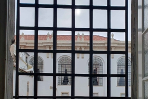 Da Porto: tour di Aveiro e Coimbra con crociera in barca Moliceiro