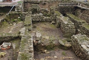 Da Porto: tour di Aveiro e Coimbra con crociera in barca Moliceiro