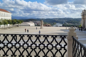 Da Porto: tour di Aveiro e Coimbra con crociera in barca Moliceiro