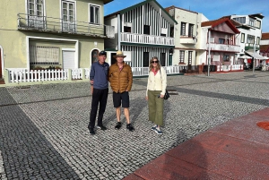 Da Porto: tour di Aveiro e Coimbra con crociera in barca Moliceiro