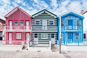 Из Порту: тур на полдня по Авейру с часовым круизом