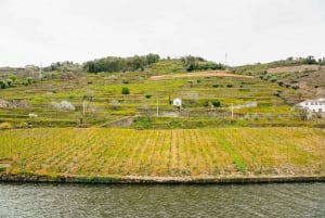 Fra Porto: Krydstogt på Douro-floden til Régua med frokost
