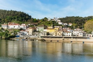 Fra Porto: Krydstogt på Douro-floden til Régua med frokost