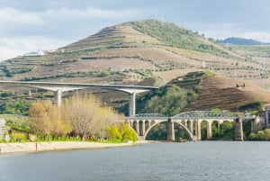 Fra Porto: Krydstogt på Douro-floden til Régua med frokost