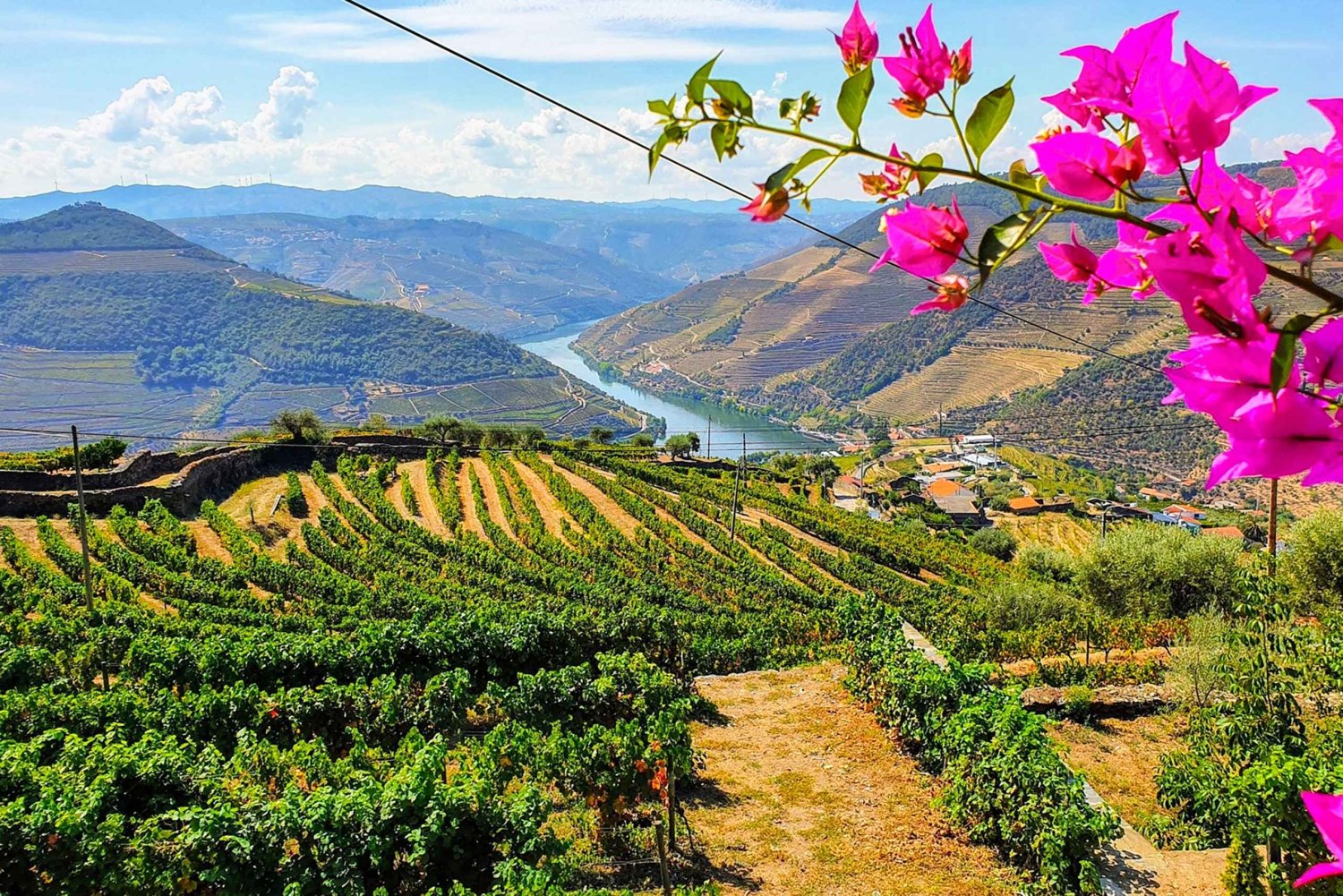 From Porto: Douro Valley with Wineries, Lunch and Boat Trip
