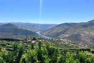 Porto: Douro Valley Tour with 3 Wineries and Lunch