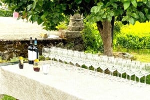 Porto: Douro Valley Tour with 3 Wineries and Lunch