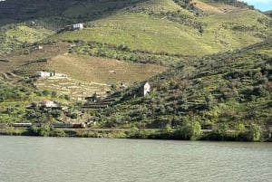 Porto: Douro Valley Tour with 3 Wineries and Lunch