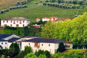 Porto: Douro Valley Tour with 3 Wineries and Lunch