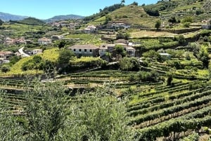 Porto: Douro Valley Tour with 3 Wineries and Lunch