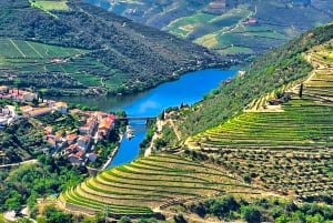 Porto: Douro Valley Tour with 3 Wineries and Lunch