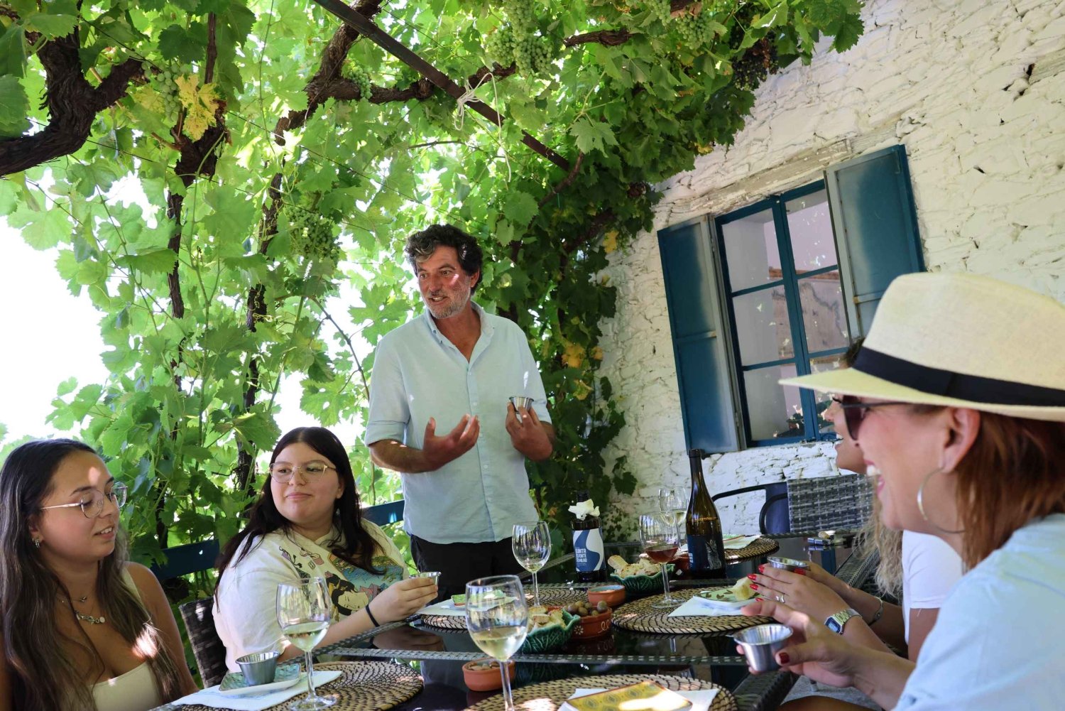 Oporto: Valle del Duero con Pequeñas Bodegas, Almuerzo y Paseo en Barco