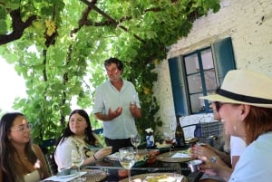 Porto: Handwerkliche Weinverkostungen im Douro-Tal, Mittagessen und Bootstour