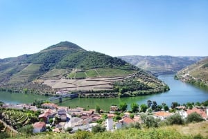 Do Porto: Excursão de 1 dia ao Douro Histórico