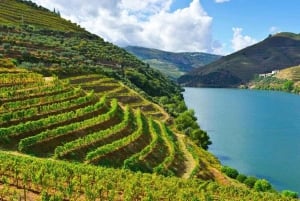 Do Porto: Excursão de 1 dia ao Douro Histórico