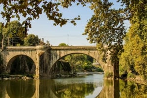 Do Porto: Excursão de 1 dia ao Douro Histórico