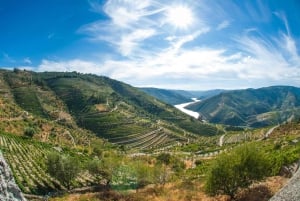 Do Porto: Excursão de 1 dia ao Douro Histórico