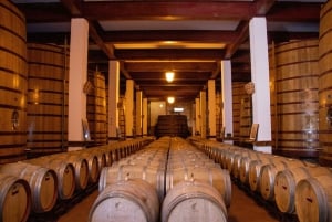 Do Porto: Excursão de 1 dia ao Douro Histórico