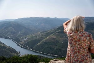 Do Porto: Excursão de 1 dia ao Douro Histórico