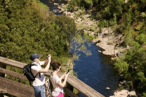 Au départ de Porto : visite d'une jounée des passerelles de Paiva avec déjeuner à base de bœuf AOC