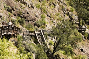 Au départ de Porto : visite d'une jounée des passerelles de Paiva avec déjeuner à base de bœuf AOC
