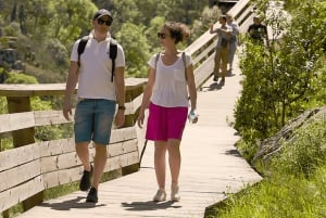 Au départ de Porto : visite d'une jounée des passerelles de Paiva avec déjeuner à base de bœuf AOC