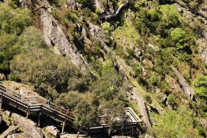Au départ de Porto : visite d'une jounée des passerelles de Paiva avec déjeuner à base de bœuf AOC