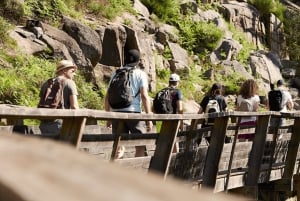 Au départ de Porto : visite d'une jounée des passerelles de Paiva avec déjeuner à base de bœuf AOC