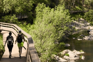Au départ de Porto : visite d'une jounée des passerelles de Paiva avec déjeuner à base de bœuf AOC