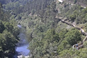 Au départ de Porto : visite d'une jounée des passerelles de Paiva avec déjeuner à base de bœuf AOC