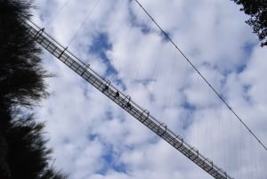 Do Porto: Visita Guiada à Ponte Suspensa 516 Arouca e Passadiços do Paiva
