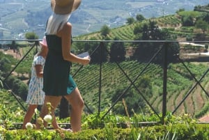 Do Porto: Excursão de vinhos em pequenos grupos no Vale do Douro