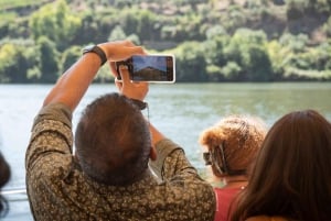 Do Porto: Excursão de vinhos em pequenos grupos no Vale do Douro
